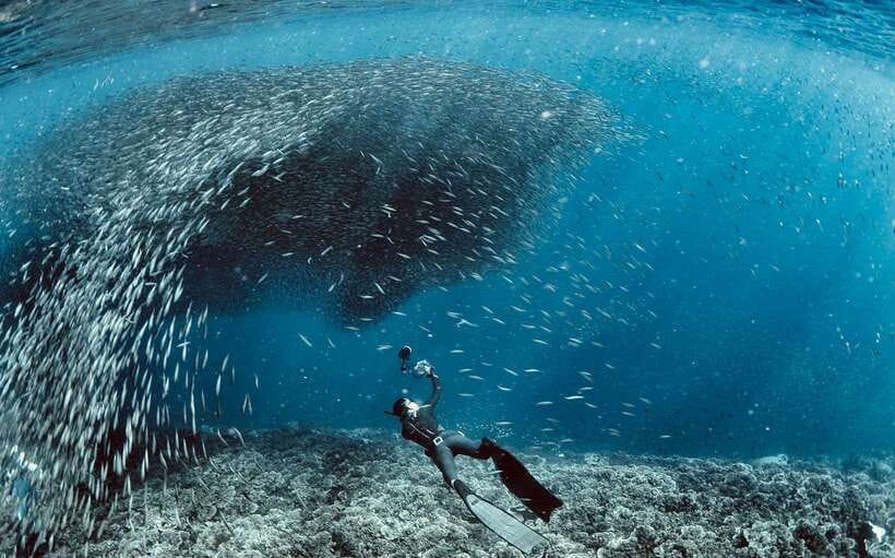 Cebu: Moalboal Scuba Diving with Sardines and Turtle Snorkel - What the scuba session is like for a first-timer