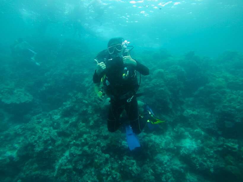 Cebu: Moalboal Scuba Diving with Sardines and Turtle Snorkel - Is $115 a fair price?
