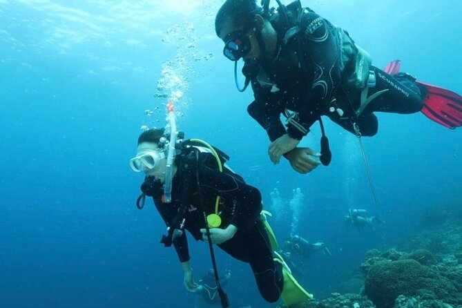 Cebu: Scuba Diving Experience beach entry in Mactan - Why this Mactan shore session works for first-timers