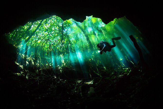 Cenote Diving - 2 Tank Dive Trip for Certified Divers - The 8:00 a.m. meeting in Playa del Carmen