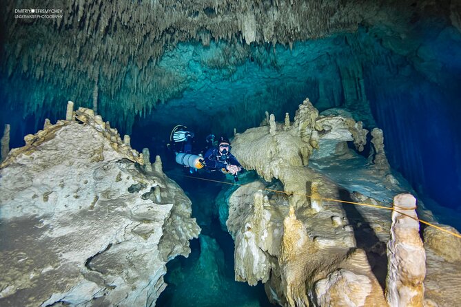 Cenote diving Dream Gate - Why Dream Gate feels unlike an ordinary reef outing