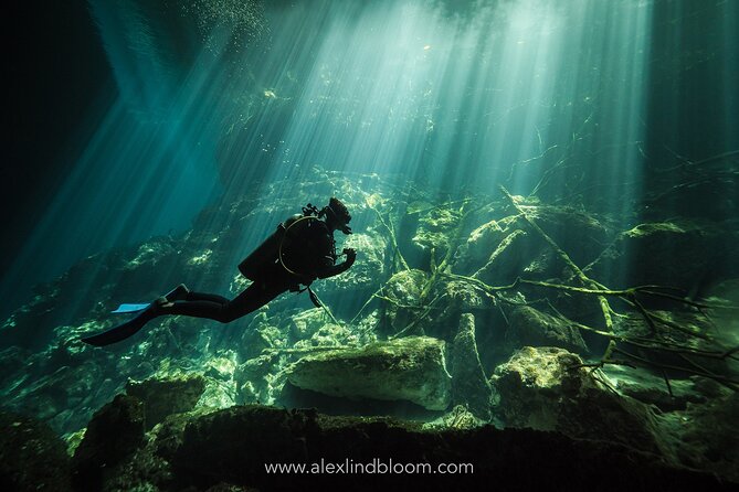 Cenotes 2-Day Scuba Diving Package in the Riviera Maya - Day one: reefs near Playa del Carmen