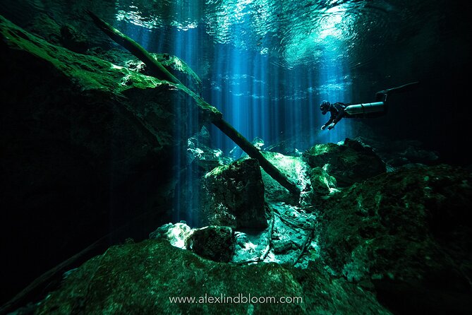 Cenotes 2-Day Scuba Diving Package in the Riviera Maya - Day two: clear water inside the Riviera Maya cenotes