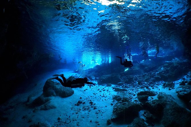 Cenotes 2-Tank Dive in Playa del Carmen/for certified divers only - The second cenote adds variety