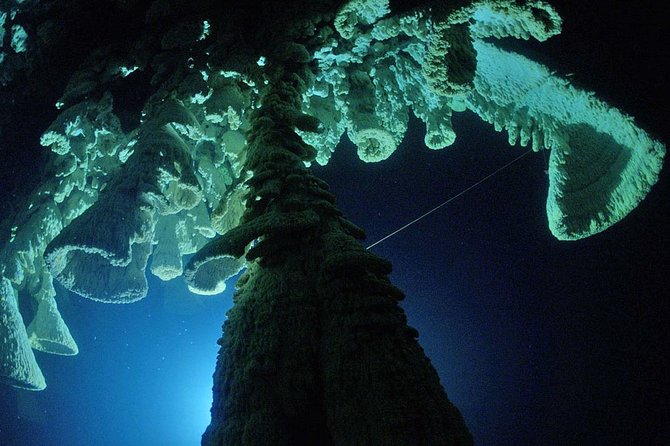 Cenotes 2-Tank Dive in Playa del Carmen/for certified divers only - Stalactites, stalagmites, and beams of light