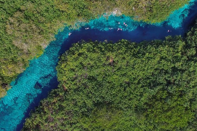 Cenotes diving - Ponderosa: the Garden of Eden cenote