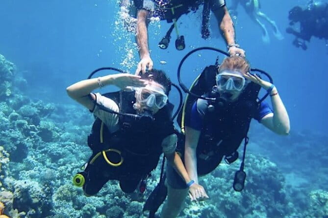 Certified and Beginner Scuba Diving from Pattaya - Lunch on board and time to slow down