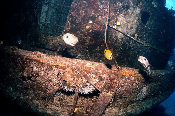 Certified Diver: 2-Tank Deep Wreck and Shallow Reef Dive Off Oahu - Equipment, photography, and Nitrox options