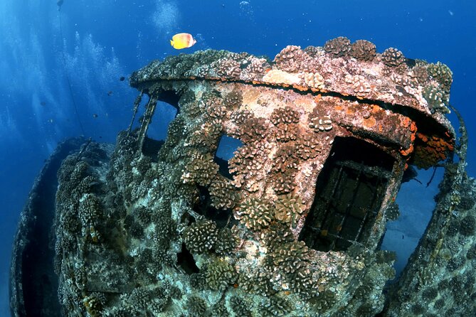 Certified Diver: 2-Tank Deep Wreck and Shallow Reef Dive Off Oahu - Is $248.81 a fair price?