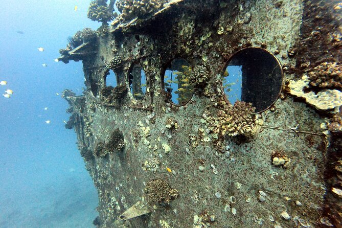 Certified Diver: 2-Tank Deep Wreck and Shallow Reef Dive Off Oahu - Surface interval and boat support