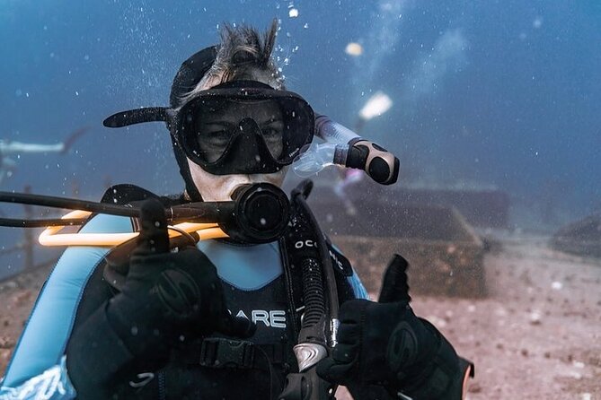 Certified Divers: Best 2-Tank Wrecks & Reef Boat Dive All Inclusive From Waikiki - What happens from the 6:45 am check-in