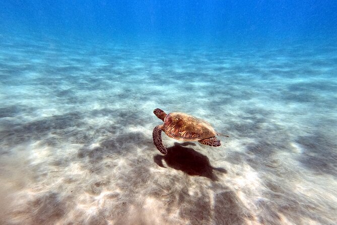 Certified Divers! Scuba dive the Ka'anapali Coast and more! - Timing your day around the ocean and altitude