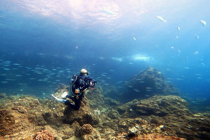 Certified Divers! Scuba dive the Ka'anapali Coast and more! - Who will enjoy this most?