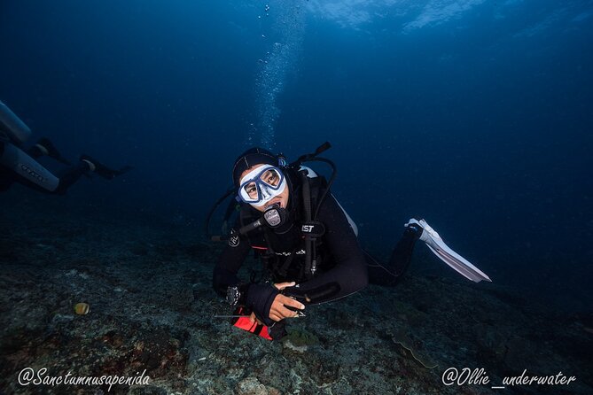 Certified Scuba Dive with Manta Rays (Open Water Diver minimum) - Manta Point, where the morning begins with mantas