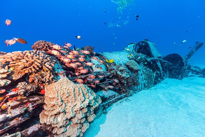 Certified Scuba Diving Experience in Honolulu - Equipment, Guidance, Water, And A Snack