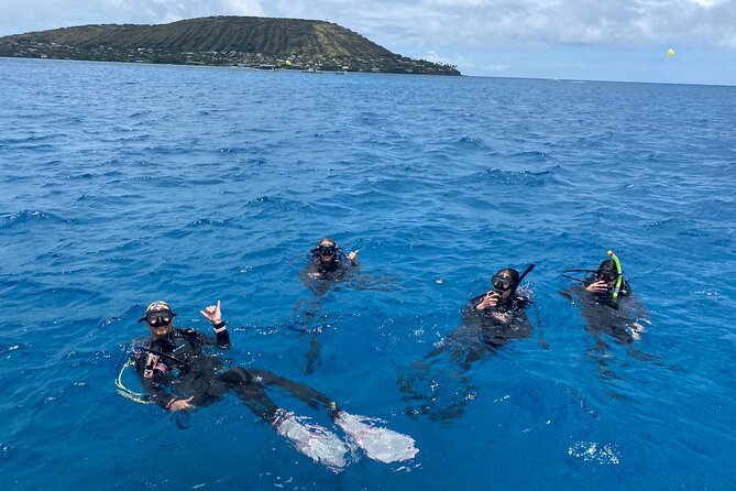 Certified Scuba Diving Experience in Honolulu - What The $205.43 Price Really Buys You