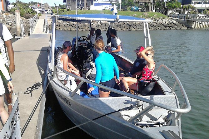Certified Scuba Diving with Whitetip Marine Adventures team - Small-group guidance from the Whitetip crew