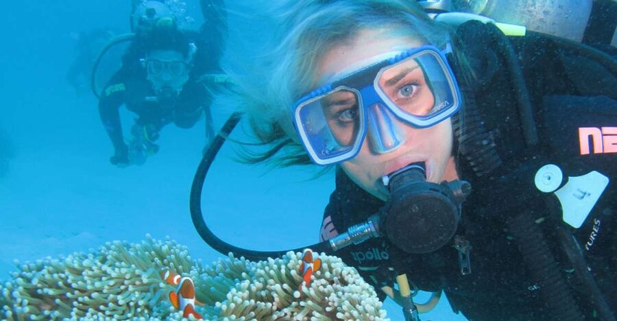 Cesme: Scuba Diving Experience - A full day on the Aegean