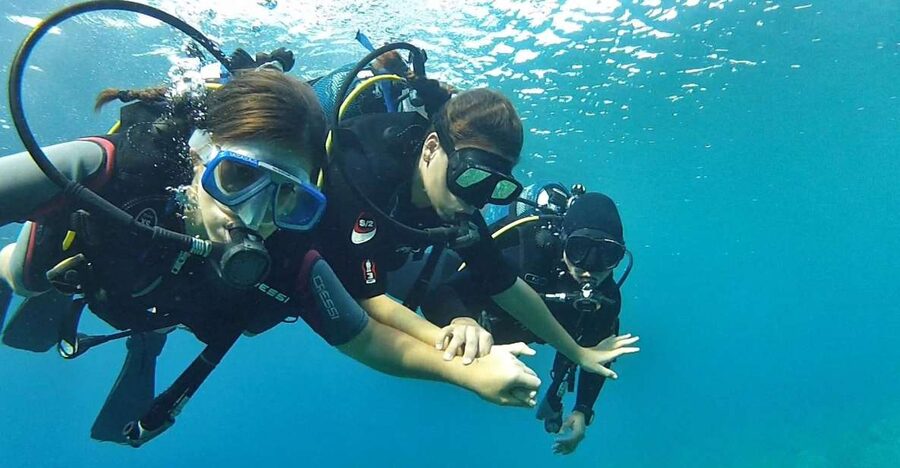Chalkidiki: Scuba Diving for Beginners in Kassandra - What this Kassandra scuba session is really like