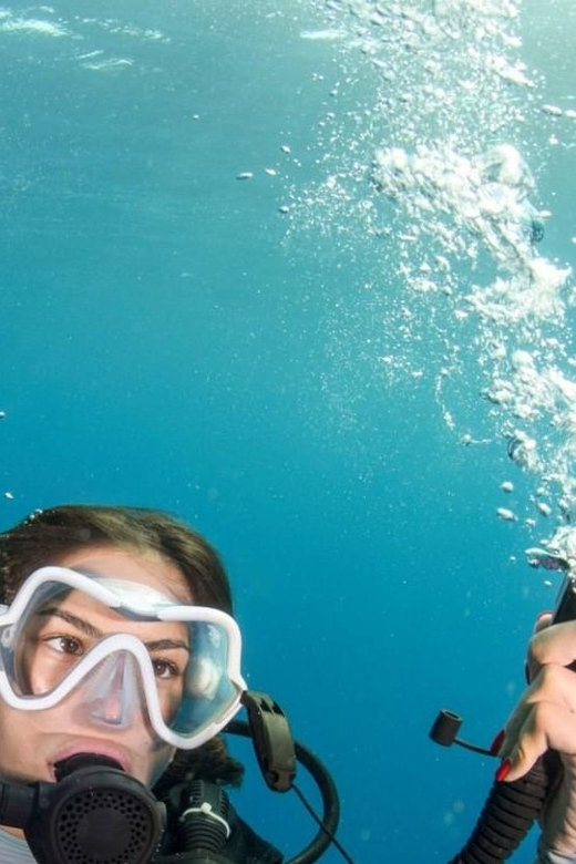 Chania: 2 Boat Dives for Certified Divers - Who will enjoy this most
