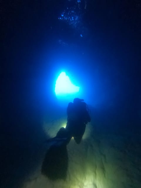 Chania: 2 Boat Dives for Certified Divers - Pickup across the Chania region