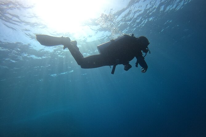Chania Scuba Diving 2 Shore Dives(Receive Certification) - The first 45-minute underwater session