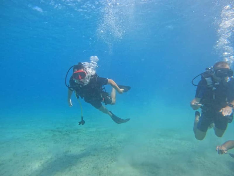 Chania: Scuba Diving and Snorkeling for Beginners by Boat - Key points at a glance