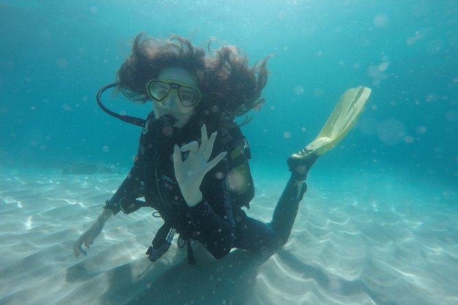 Chania: Scuba Diving for Beginners - Photos, video, and the value of the $140 price