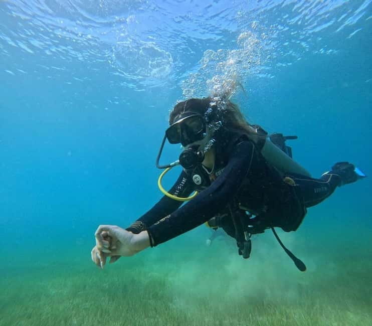 Chania :Scuba Diving for Beginners-Boat Dive - Is this Chania scuba outing worth booking?