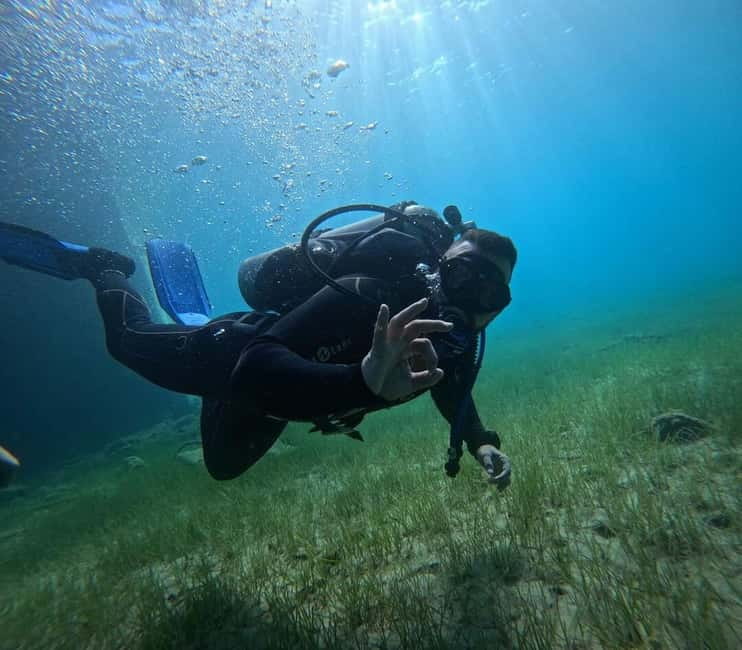 Chania :Scuba Diving for Beginners-Boat Dive - Timing, transfers, and the small practical catches