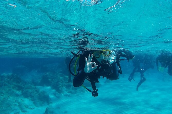 Chania: Scuba Diving for Beginners - The 45-minute safety briefing is time well spent