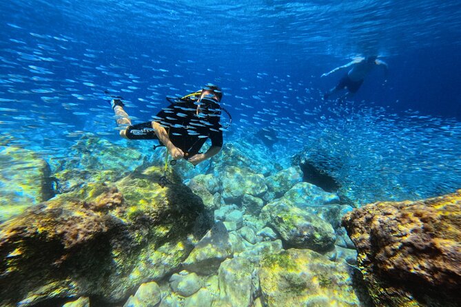 Chania Scuba Diving | Shore Dives | Certified Divers - One or two sessions beneath the surface