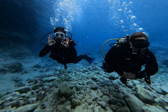 Chania Scuba Diving | Shore Dives | Certified Divers - The marine life you may spot