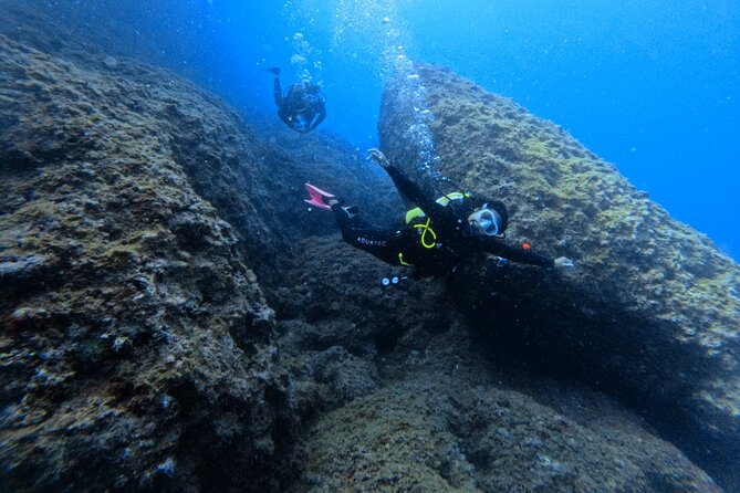 Chania Scuba Diving | Shore Dives | Certified Divers - Is $144.49 good value?