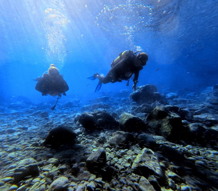 Chania Scuba Diving: Shore Dives for Certified Divers - Key points to know before you book