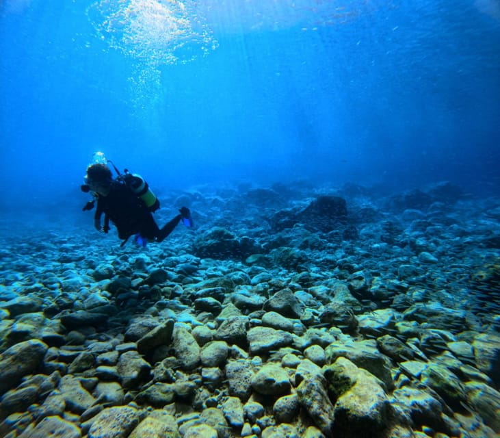 Chania Scuba Diving: Shore Dives for Certified Divers - Who will enjoy this outing most