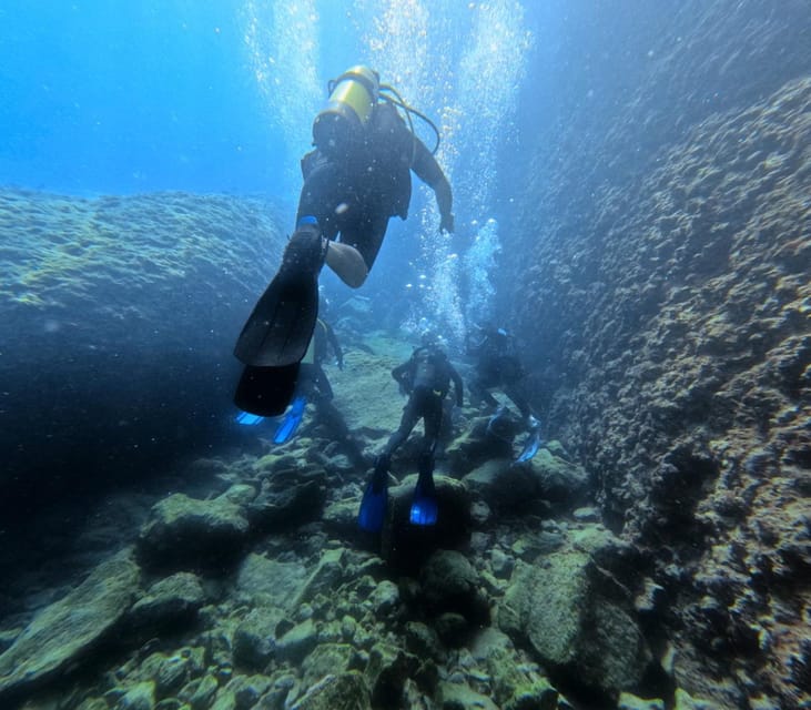 Chania Scuba Diving: Shore Dives for Certified Divers - What you might see below the surface