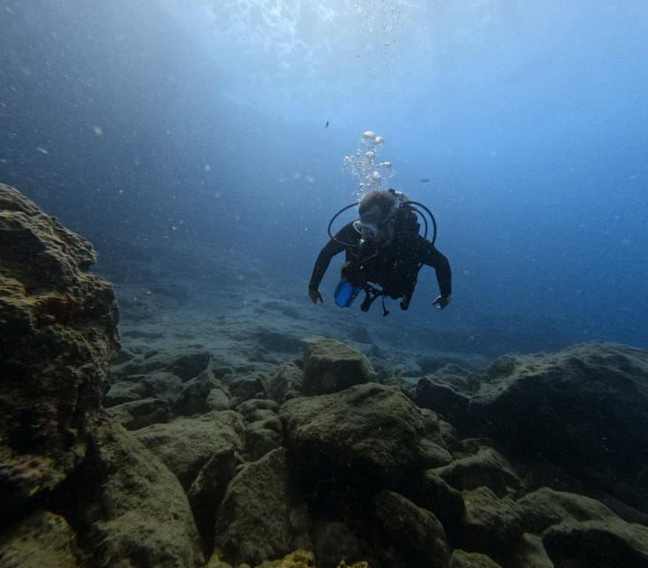 Chania Scuba Diving: Shore Dives for Certified Divers - Equipment, language, and comfort