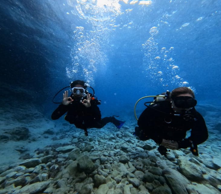 Chania Scuba Diving: Shore Dives for Certified Divers - Price and overall value at $153