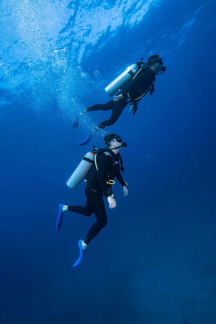 Chania:Try Scuba Diving 2shore dives(Receive Certification) - Key points at a glance