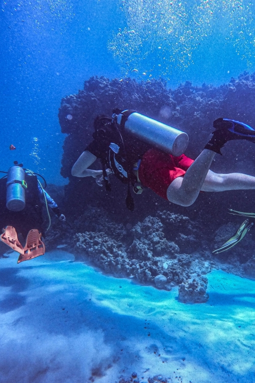 Chania:Try Scuba Diving 2shore dives(Receive Certification) - Calm instruction is the main strength