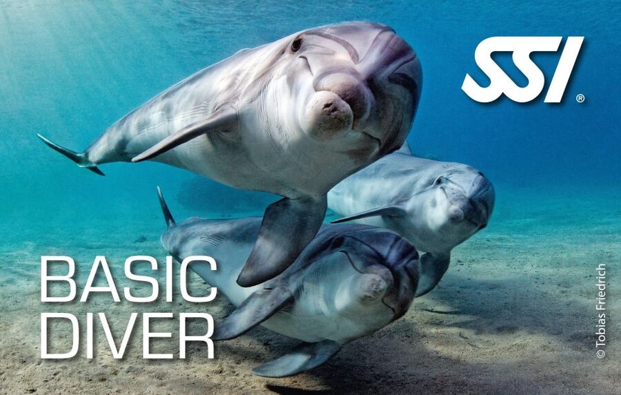 Chania:Try Scuba Diving 2shore dives(Receive Certification) - Who should book this experience