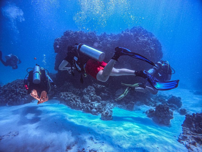 Chania:Try Scuba Diving 2shore dives(Receive Certification) - The one-hour lesson that makes the water easier