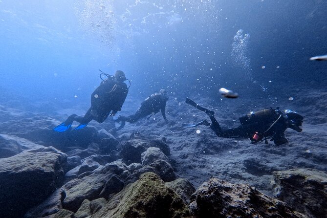 Chania | Try Scuba Diving | Introduction Dive - Key points to know before booking