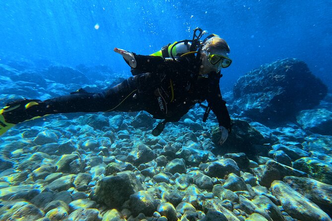 Chania | Try Scuba Diving | Introduction Dive - Spotting Crete’s underwater residents