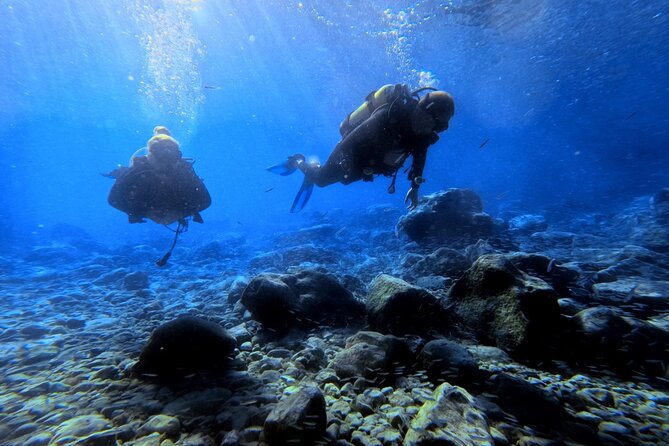Chania | Try Scuba Diving | Introduction Dive - Planning your half day in Almyrida