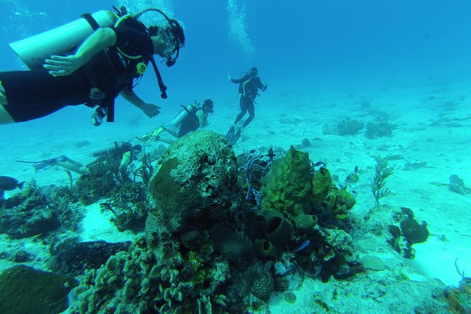 Chankanaab Cozumel Scuba Diving - The underwater sights at 24 to 25 feet