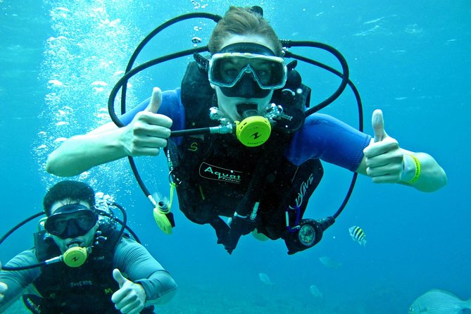 Chankanaab Cozumel Scuba Diving - The reef route is easy, but not built for speed