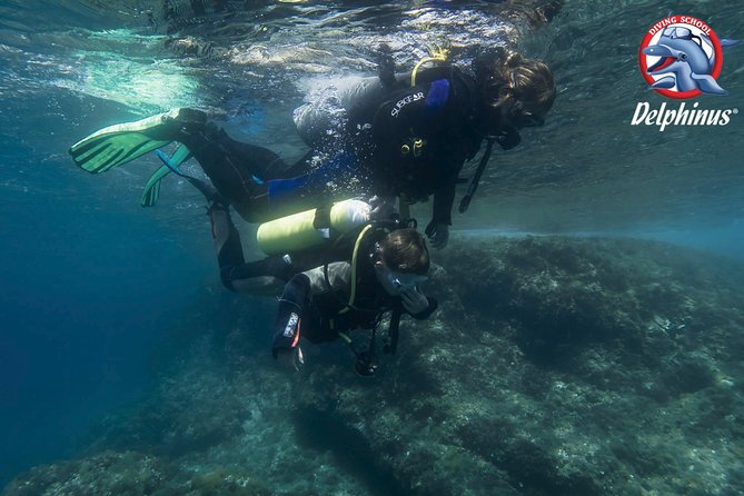 Children's PADI Diving Experience in Gran Canaria - What the $80.98 price includes