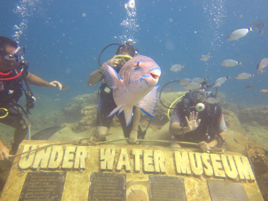 City of Side: Scuba Diving with Lunch - What happens between the two sessions